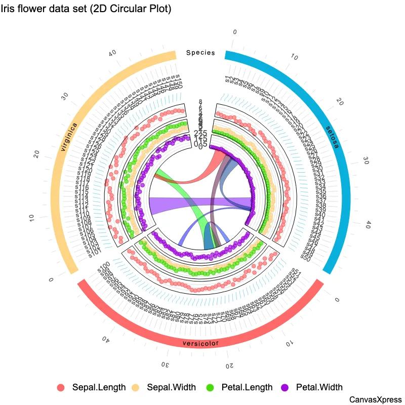 Circle Plot: Data Relationships Visualized