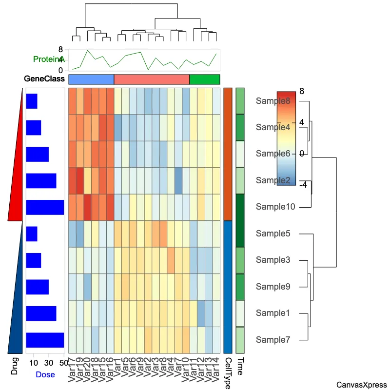 Pheatmap Visualization for Synthetic Data