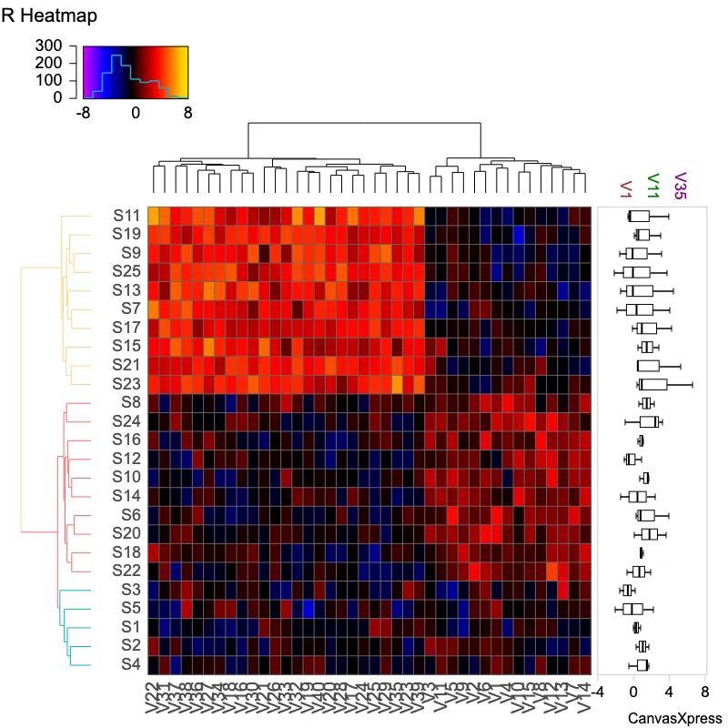 Enhance Pattern Analysis with Heatmap & Dendrograms
