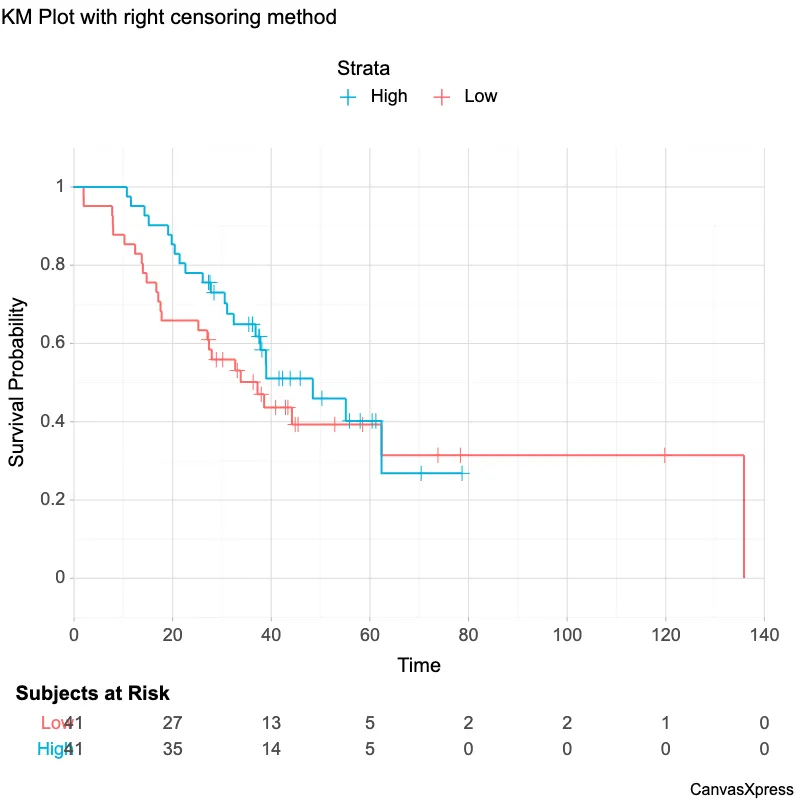 Kaplan-Meier Plot: Survival Probabilities