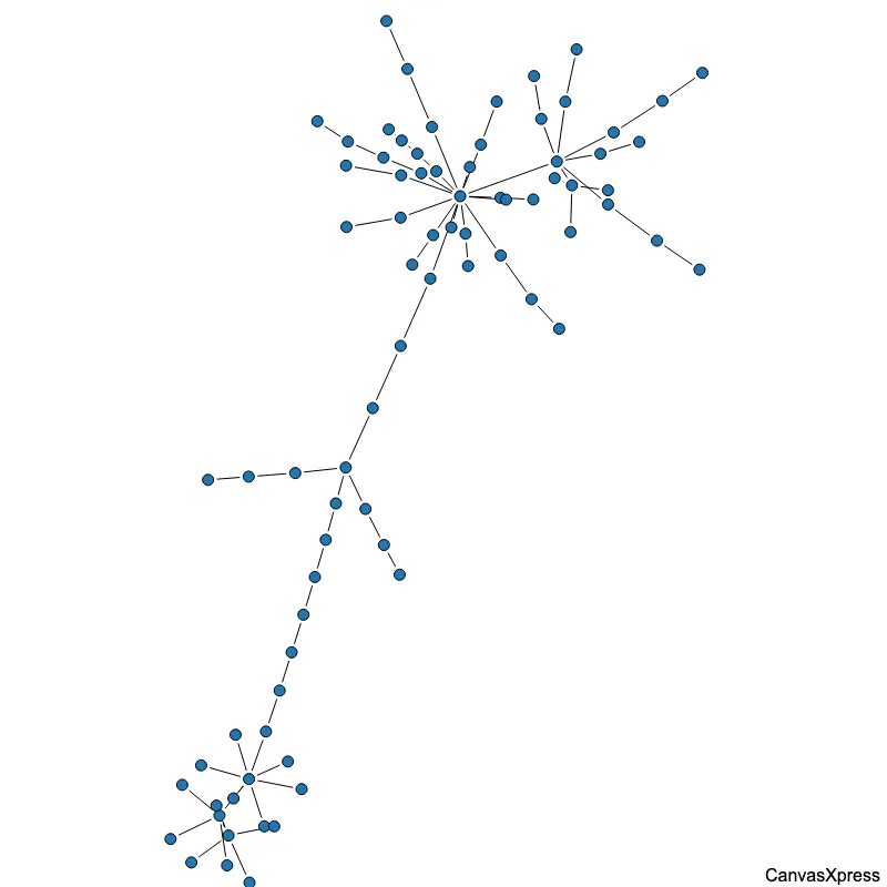 Mastering Network Graph Layouts