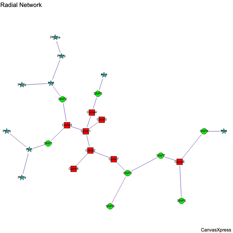 Radial Layout for Network Graphs