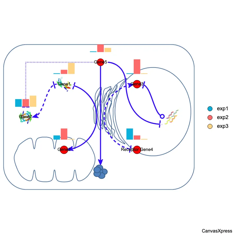 Customized Network Graph for Detailed Analysis