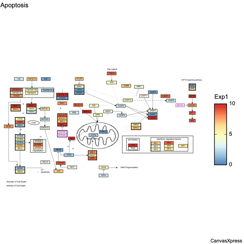 Exploring Wikapathways Network with Data Colors