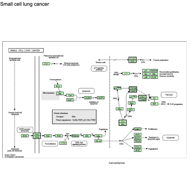 Interactive KEGG Network Visualization