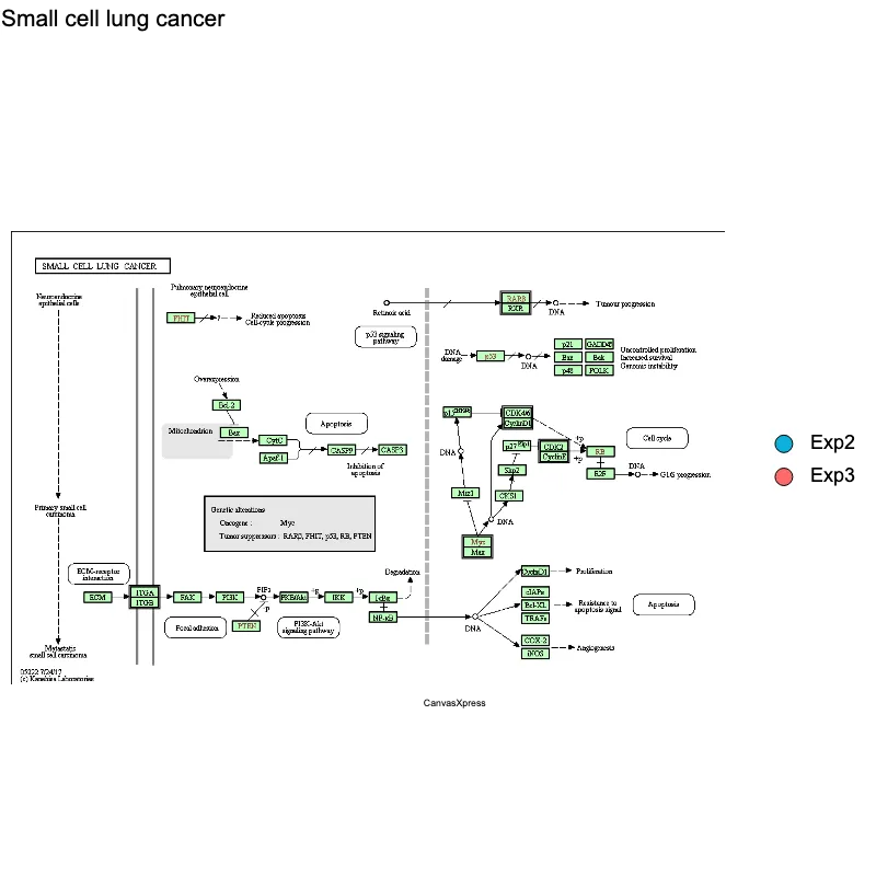 Enhanced KEGG Network Visualization