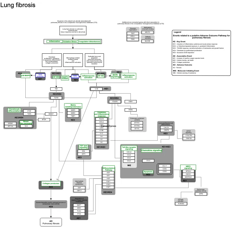 Wiki Pathways Network Data URL