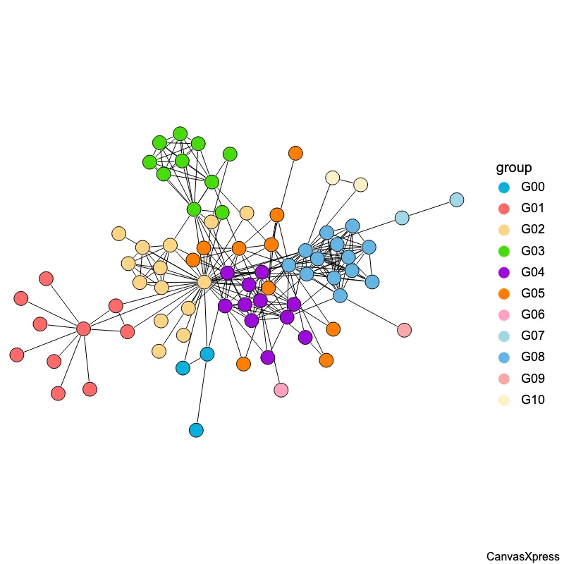 Interactive Network Graph Visualization