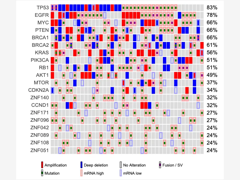 Oncoprint with mRNA Expression Borders