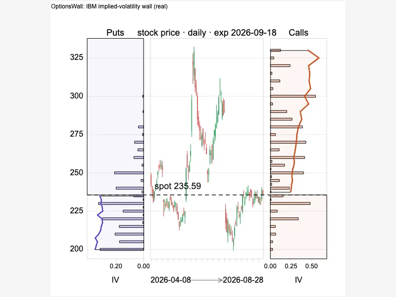 OptionsWall: IBM implied-volatility wall (real)