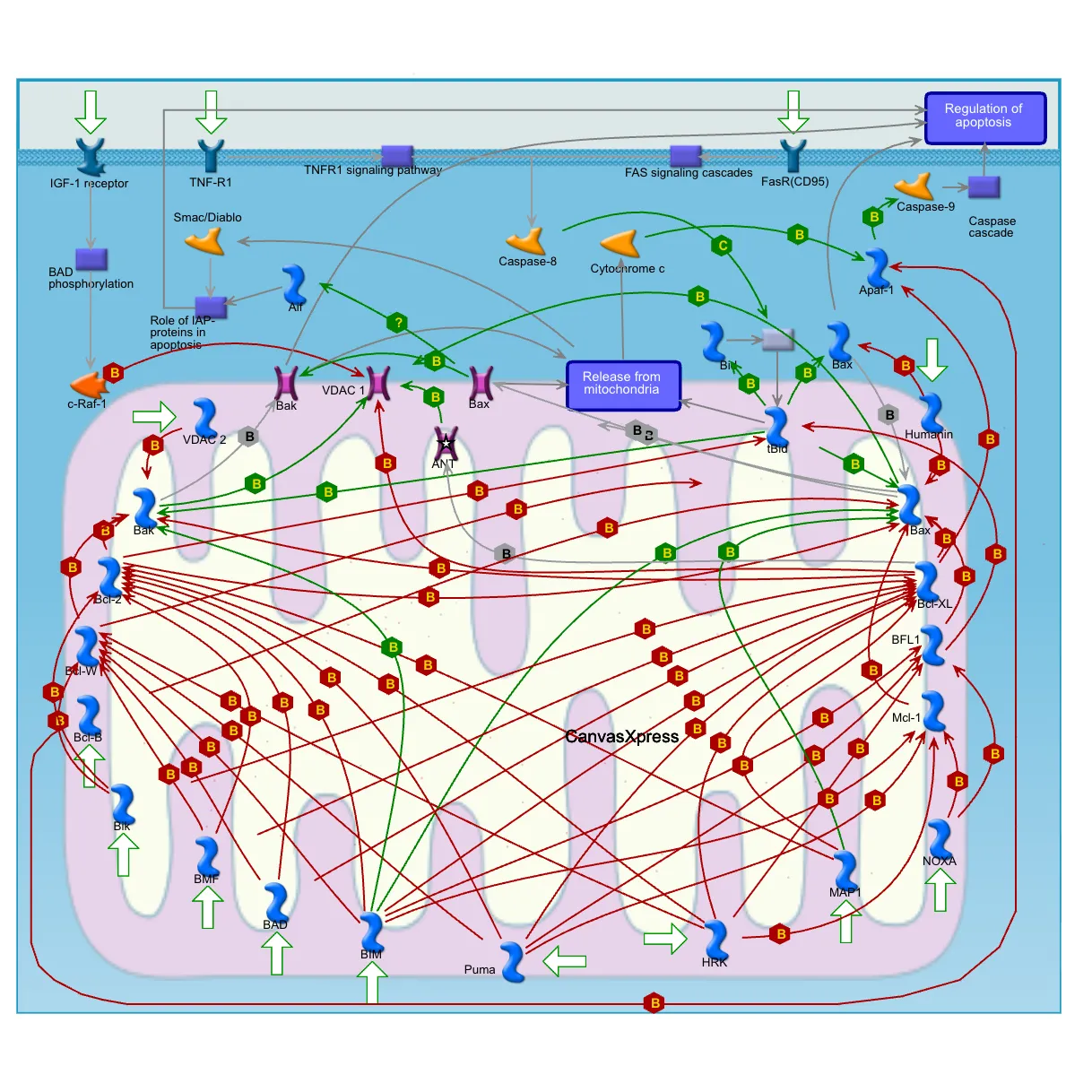 Remote XML Data for Dynamic Visualizations