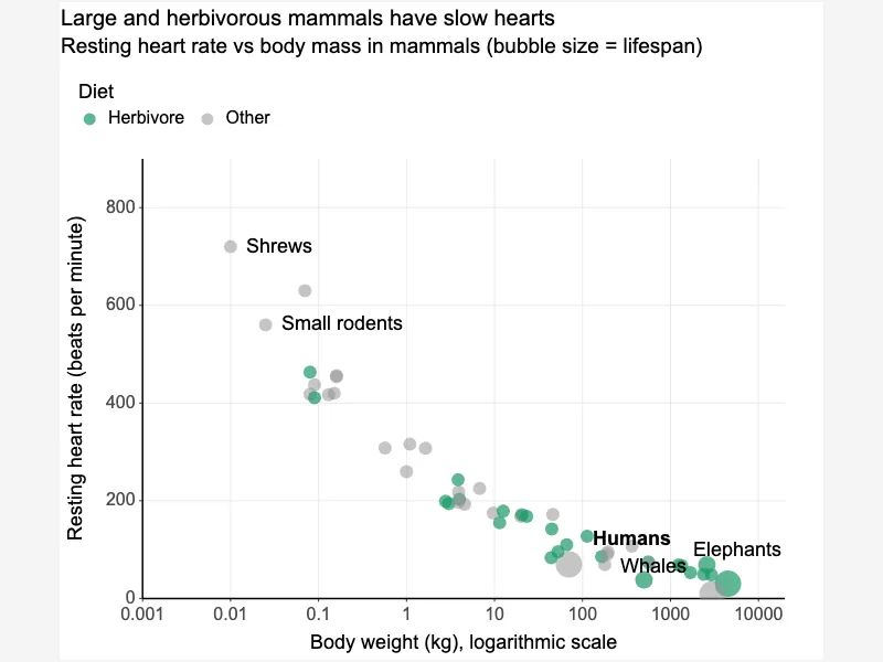 Log-scale bubbles with a trend line