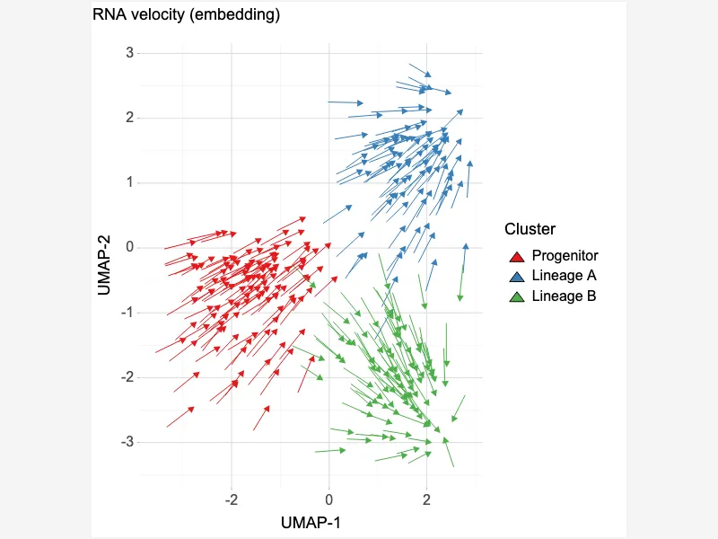 RNA velocity (embedding) RNA velocity (embedding)