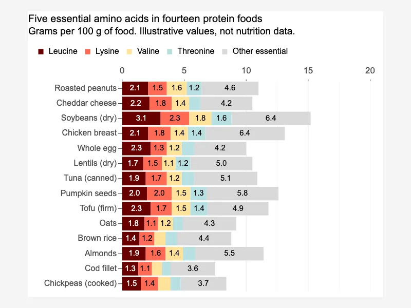 Fourteen foods, five stacked components
