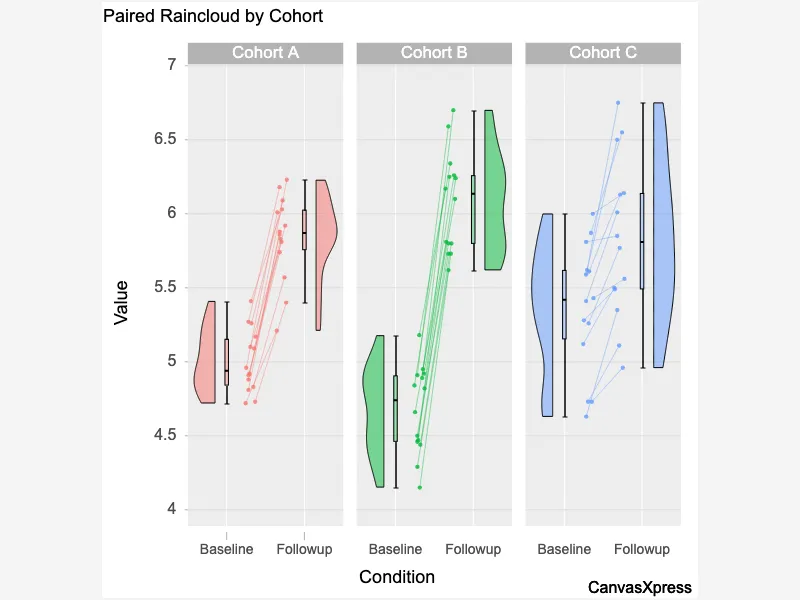 Segregated Connected Raincloud Segregated Connected Raincloud