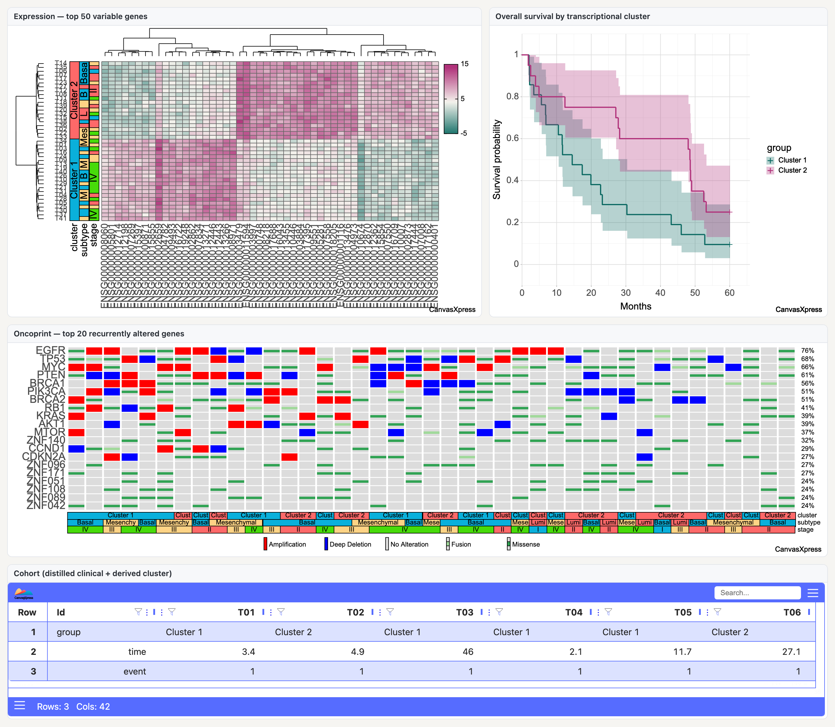 The reproducible bench rendered as a live dashboard: clustered expression heatmap, Kaplan–Meier survival curves by derived cluster, oncoprint of recurrently altered genes, and the cohort table